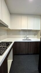 Riversound Residence (D19), Condominium #614472651